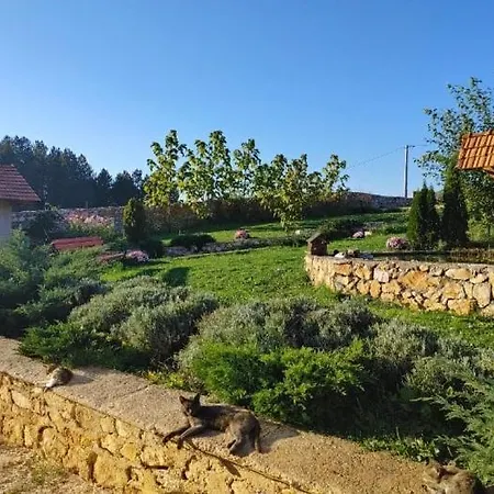 Villa Kuca Sa Bazenom Barice - Lavanda Estate