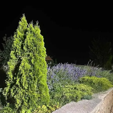 Kuca Sa Bazenom Barice - Lavanda Estate