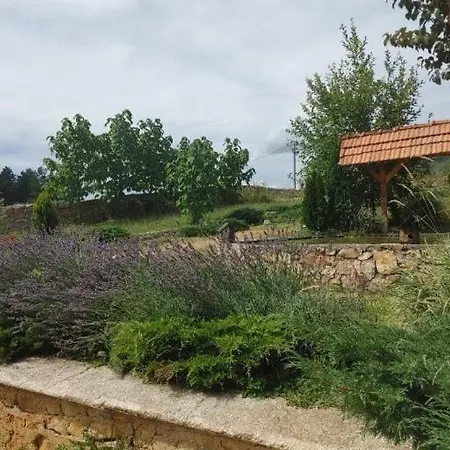 Kuca Sa Bazenom Barice - Lavanda Estate Villa *