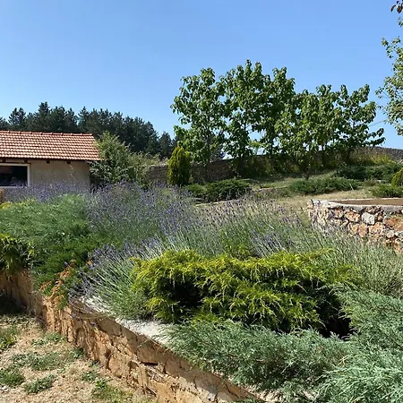 Kuca Sa Bazenom - Lavanda Estate