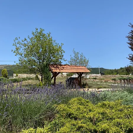 Kuca Sa Bazenom - Lavanda Estate Villa